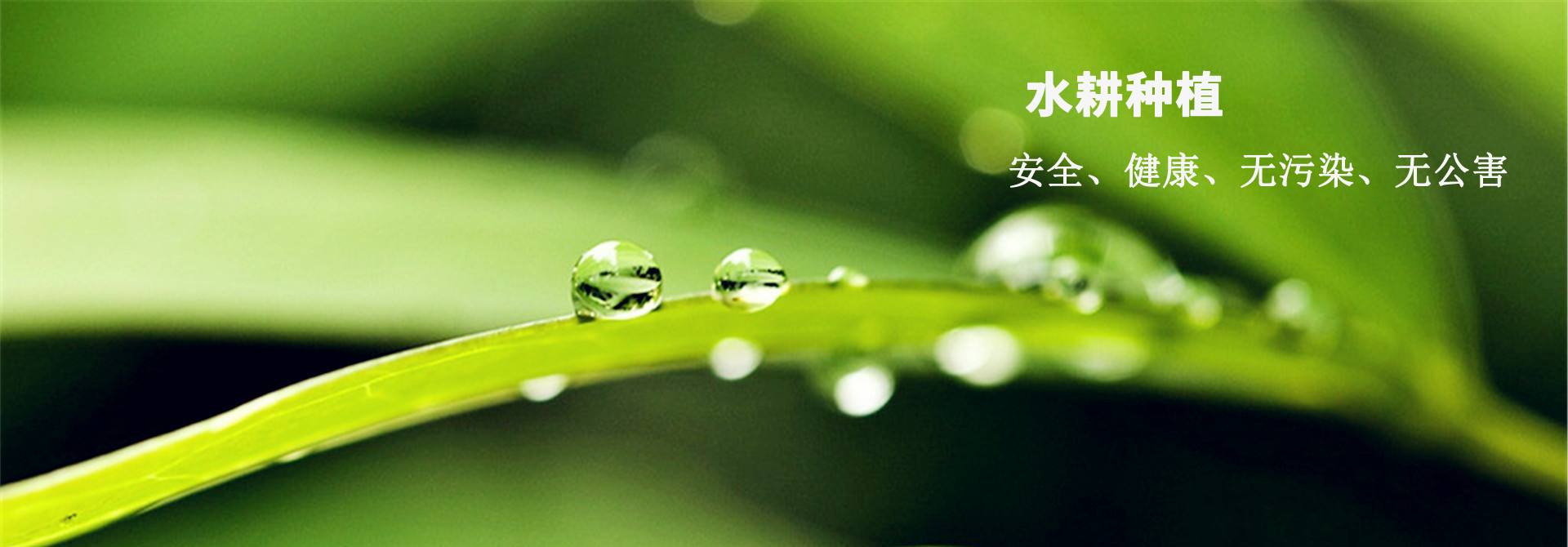 &#20061;&#24030;&#20307;&#24425;&#45;&#20061;&#24030;&#65288;&#20013;&#22269;&#65289;